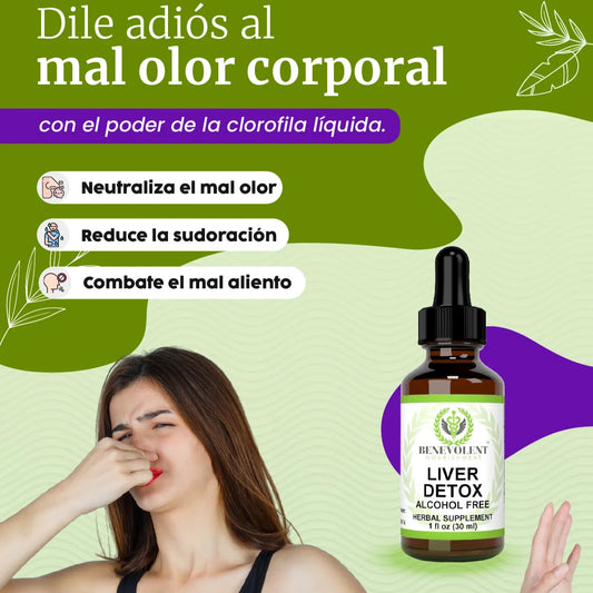 Clorofila| Frescura real desde adentro
